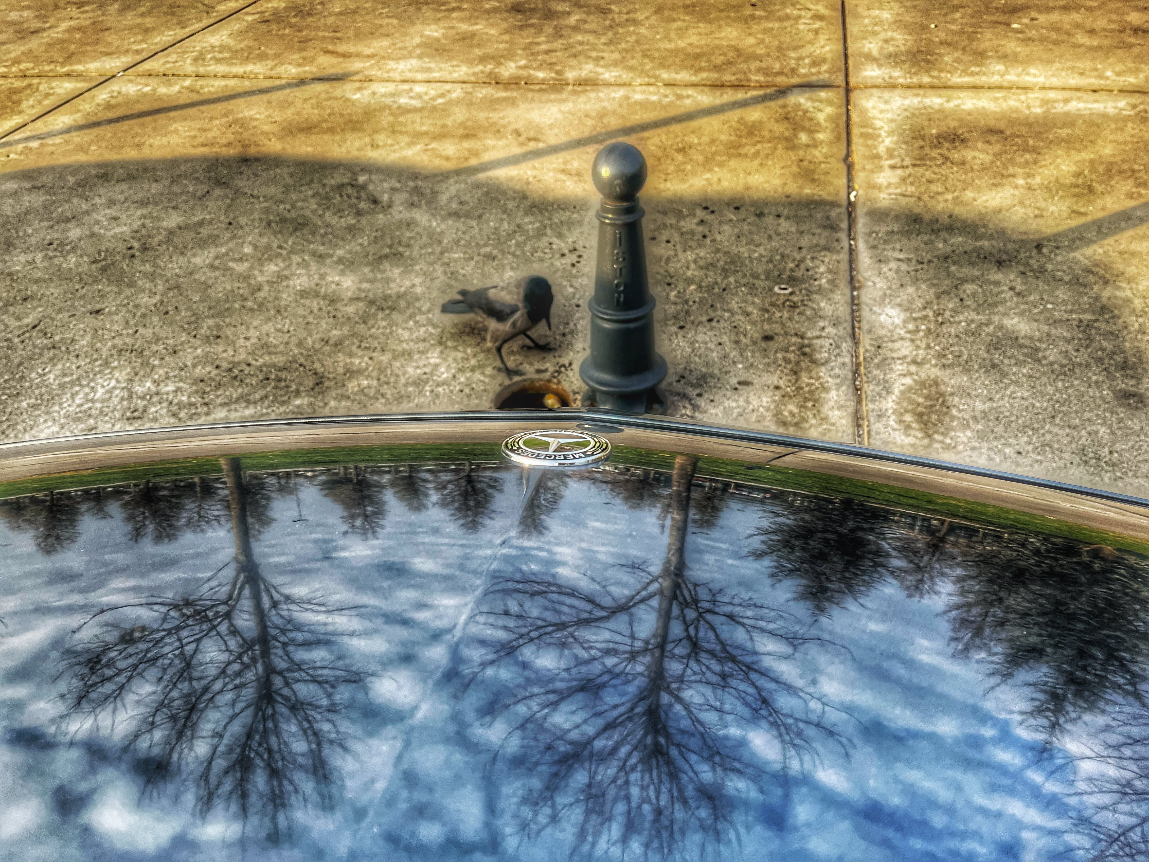 Nur Saygı — Sergi